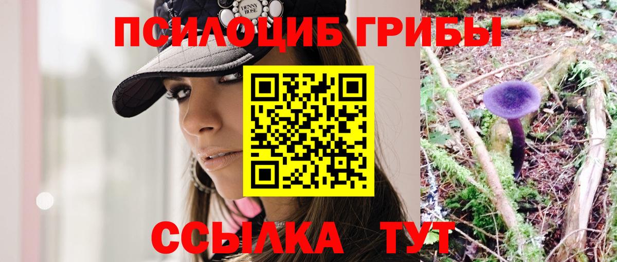 Шебекино  Псилоцибиновые грибы прущие грибы  Вход с VPN  что такое   Галлюциногенные грибы Cubensis 